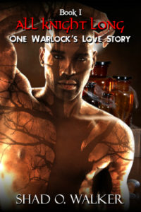 One Warlock's Love Story - Book One